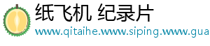 纸飞机 纪录片